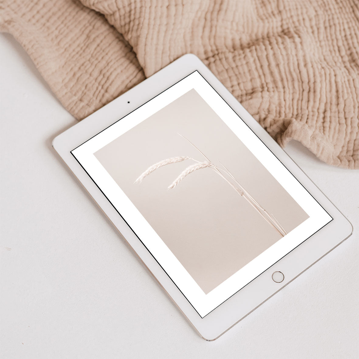 Beige kornkombination | Digitala filer