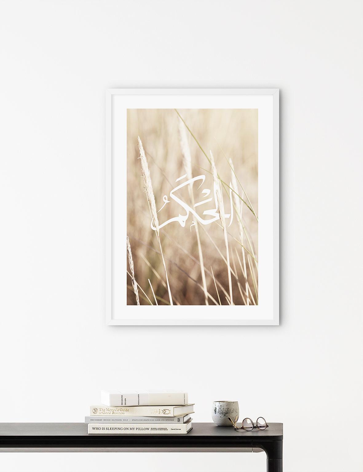 Reeds Al Hakam, Denmark 2020 - Doenvang