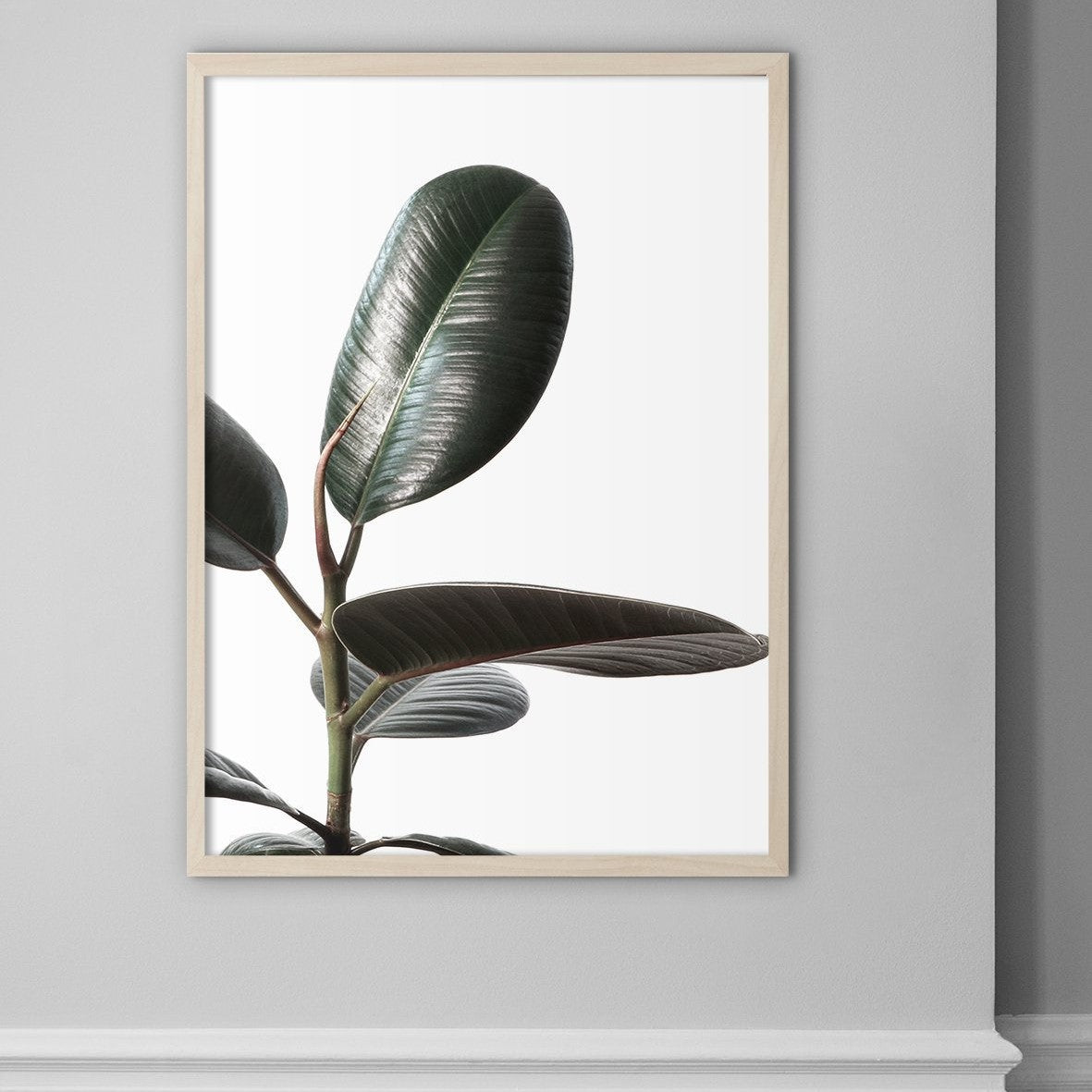 Rubberplant #1 - Doenvang