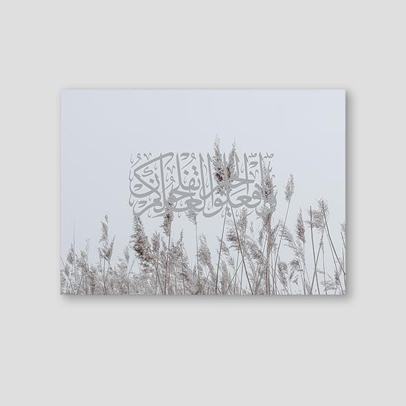 Al Hajj Reeds - Doenvang