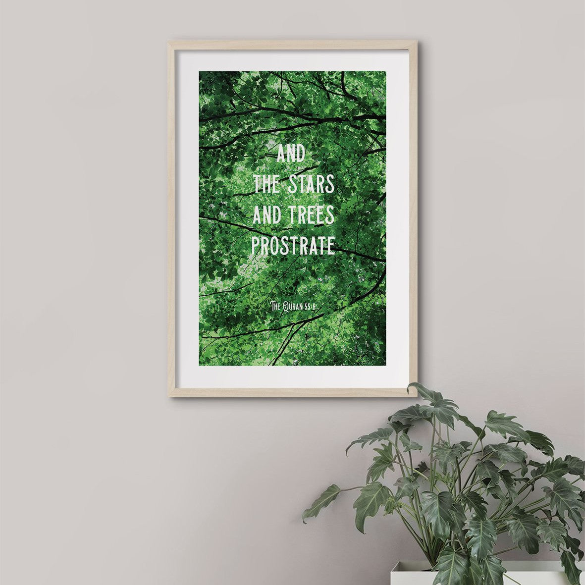 And the Stars and Trees - Doenvang
