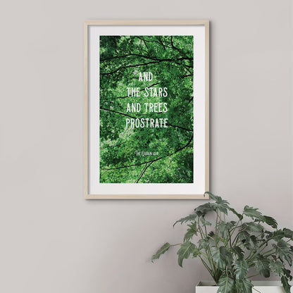 And the Stars and Trees - Doenvang