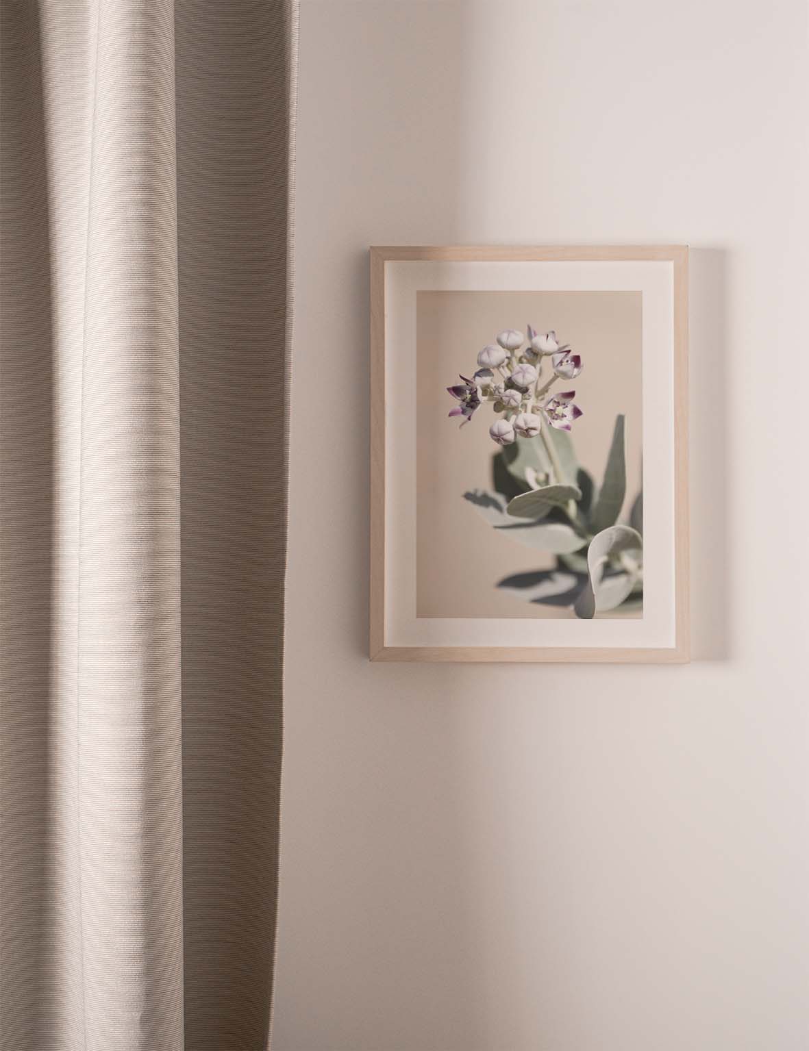 Desert Flower #2 | UAE 2021