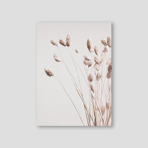 Dried Decor - Doenvang