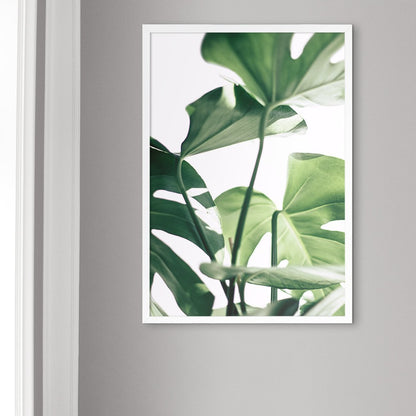 Monstera #3 - Doenvang