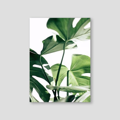 Monstera #3 - Doenvang