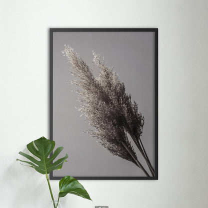 Grey Reeds #2 - Doenvang