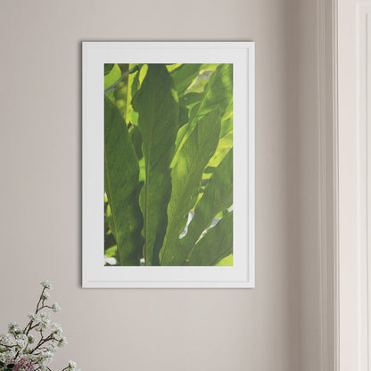 Vibrant Green - Doenvang