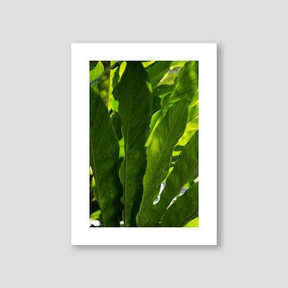 Vibrant Green - Doenvang
