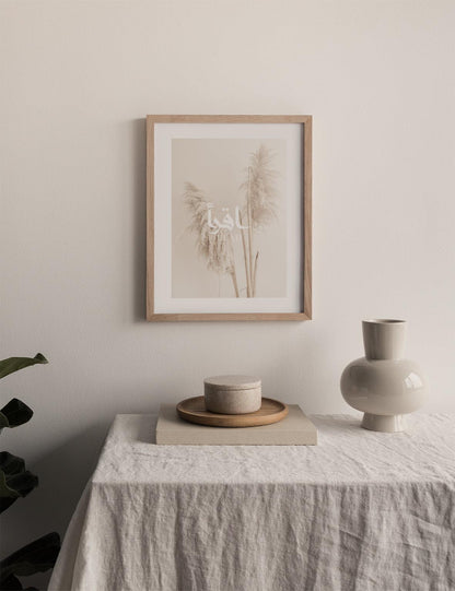 Beige Pampas, Read - Doenvang