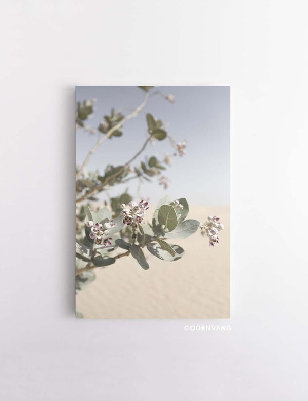 CANVAS | Desert Flower #1 - Doenvang