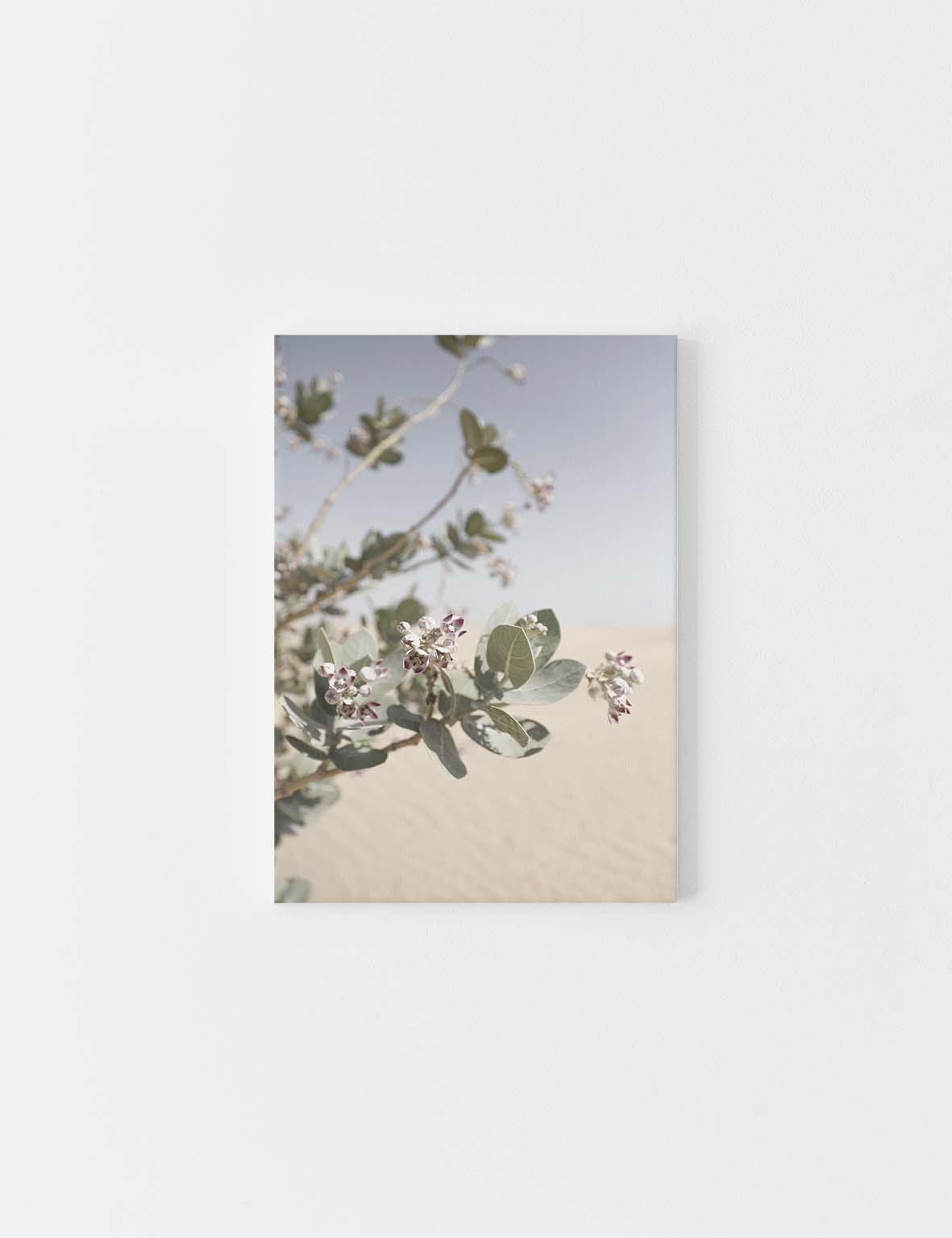 CANVAS | Desert Flower #1 - Doenvang