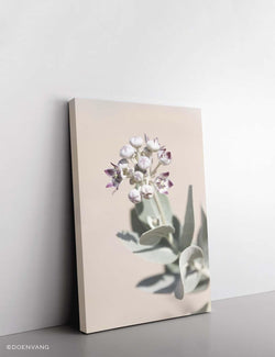 CANVAS | Desert Flower #2 - Doenvang