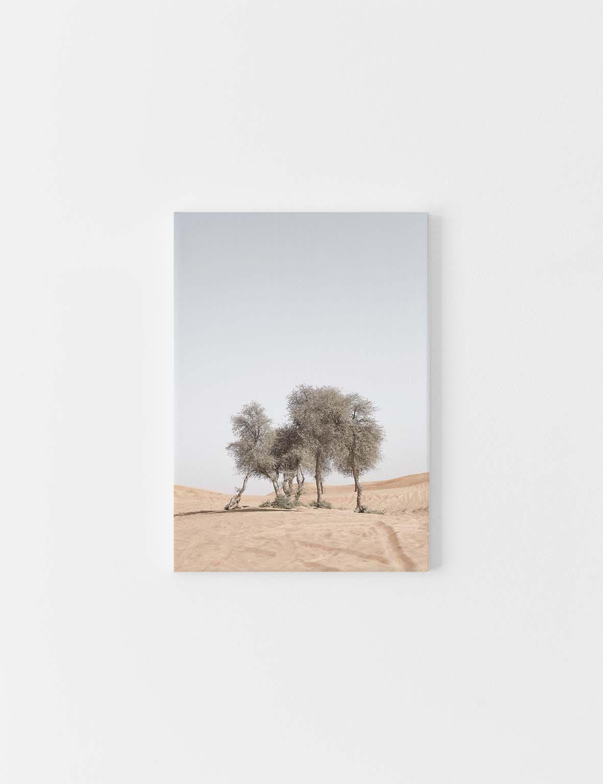 CANVAS | Desert Trees #1 - Doenvang