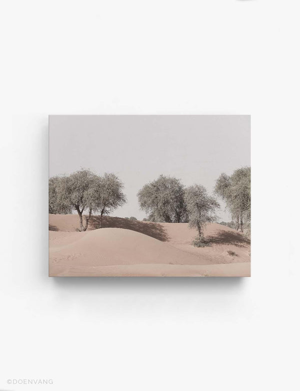 CANVAS | Desert Trees #2 | UAE 2021 - Doenvang