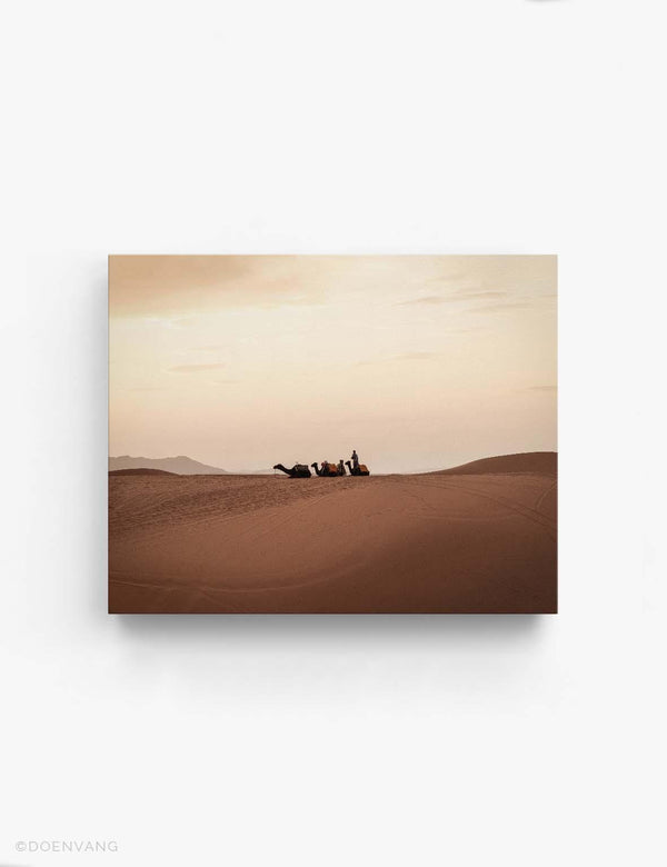 CANVAS | Sahara Desert Camels | Morocco 2021 - Doenvang