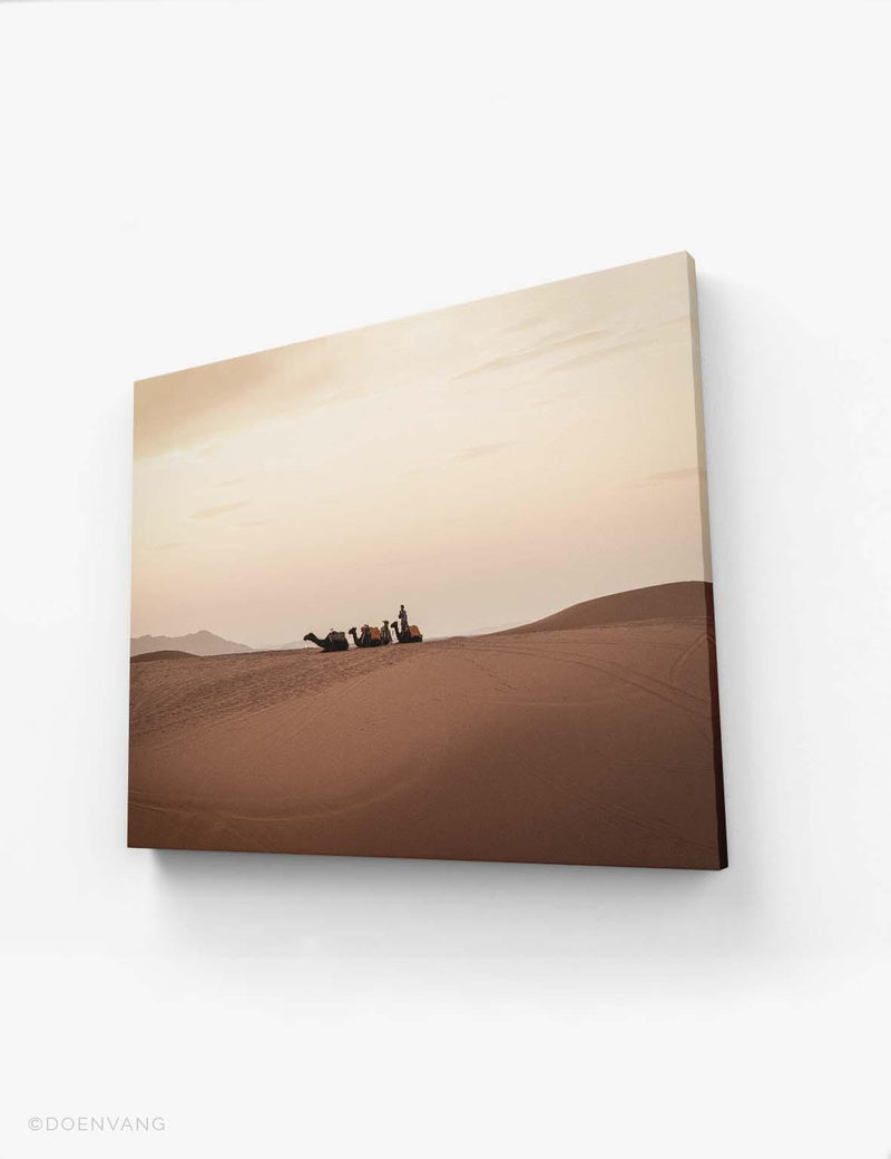 CANVAS | Sahara Desert Camels | Morocco 2021 - Doenvang