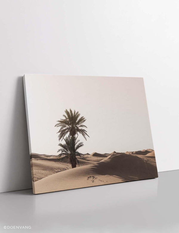 CANVAS | Sahara Desert Tree | Morocco 2021 - Doenvang