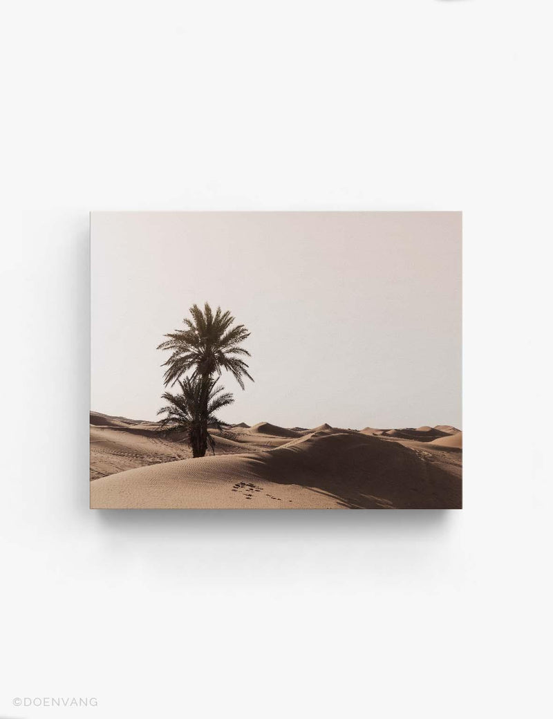 CANVAS | Sahara Desert Tree | Morocco 2021 - Doenvang