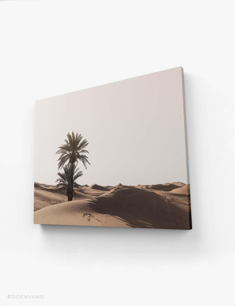 CANVAS | Sahara Desert Tree | Morocco 2021 - Doenvang