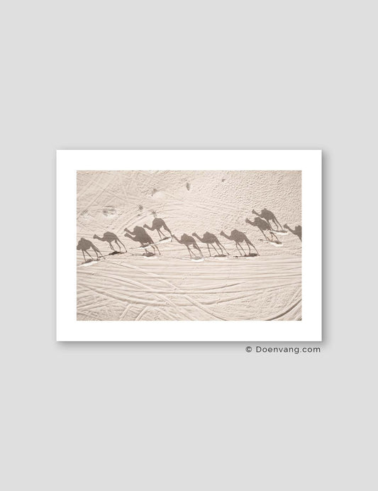 Desert Camels, Drone | UAE 2021 - Doenvang