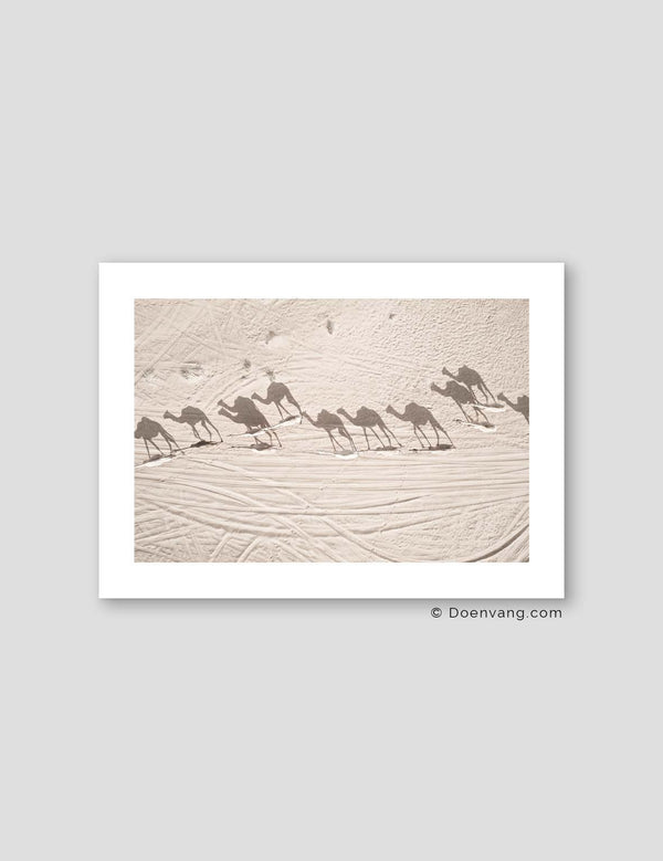 Desert Camels, Drone | UAE 2021 - Doenvang