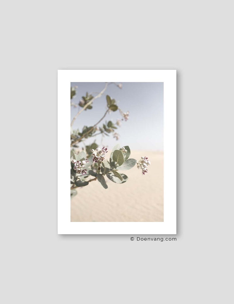 Desert Flower #1 | UAE 2021 - Doenvang