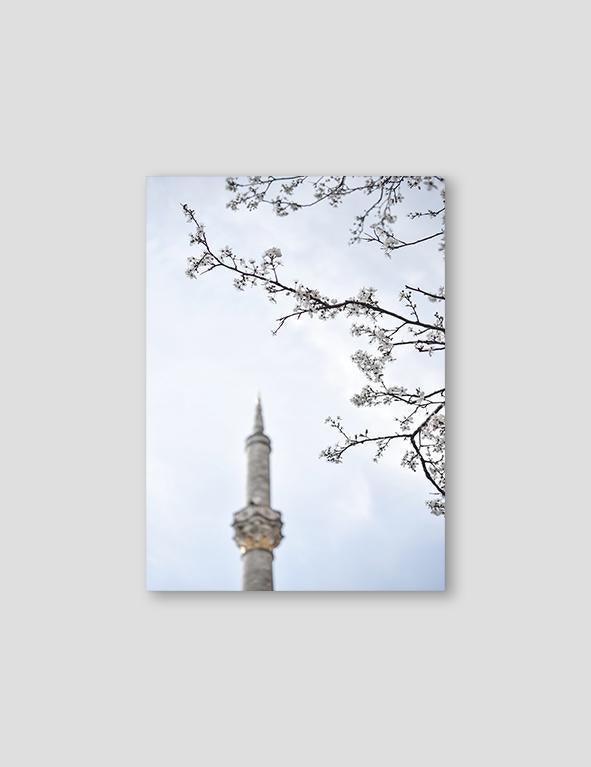 Dilara Photography, Ortaköy Mosque #2 - Doenvang