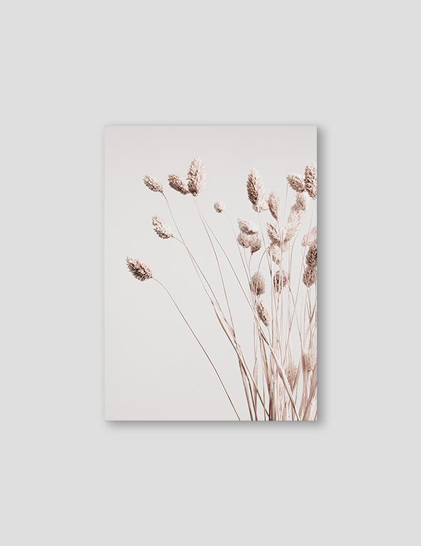 Dried Decor - Doenvang
