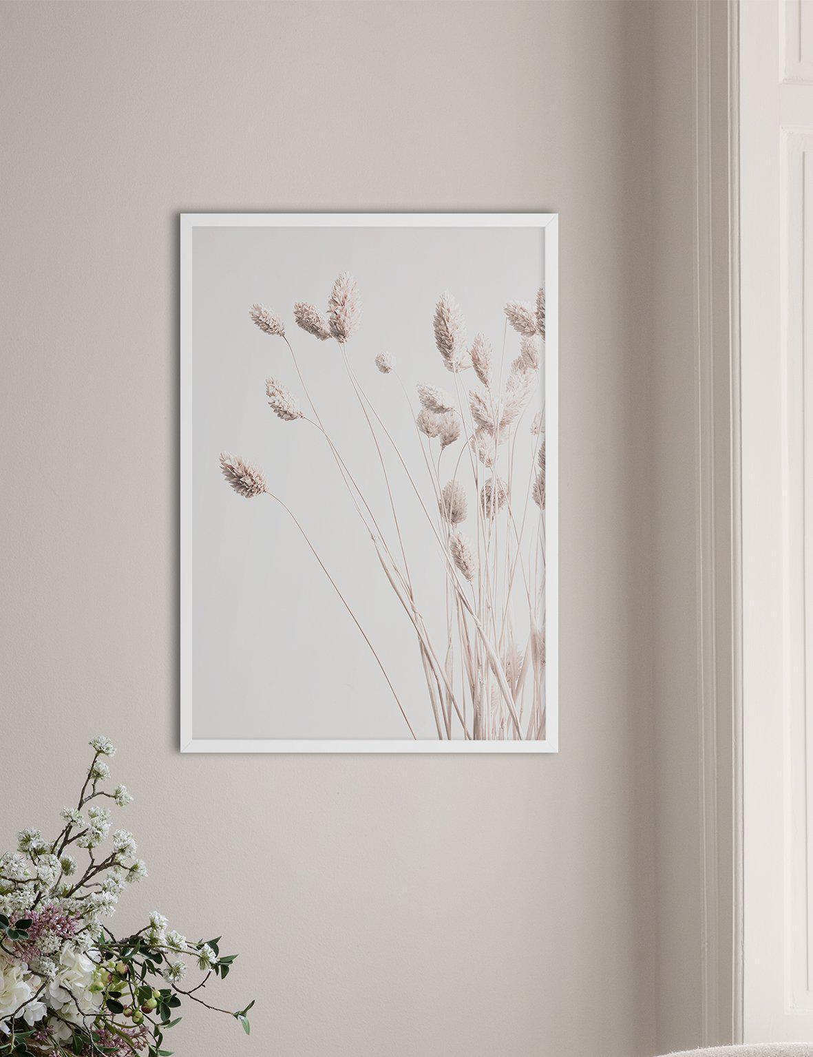 Dried Decor - Doenvang