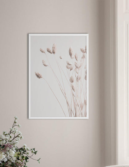 Dried Decor - Doenvang
