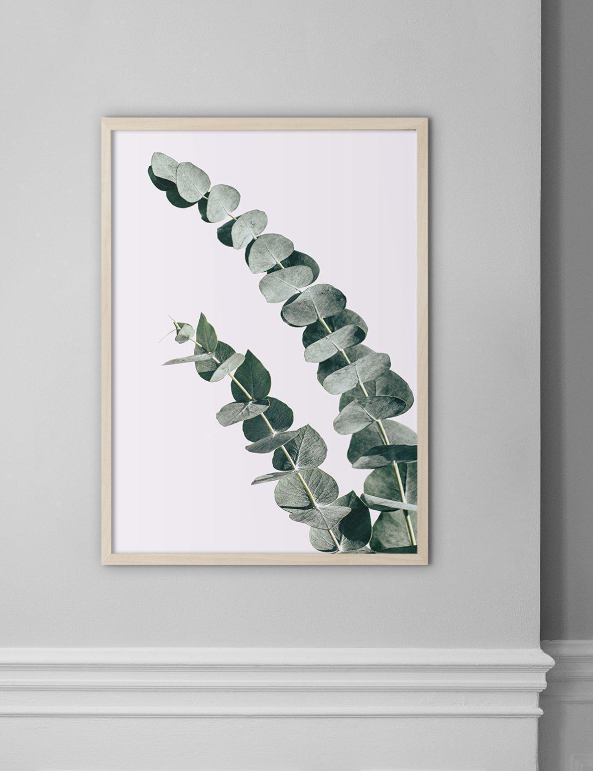 Eucalyptus #1 - Doenvang