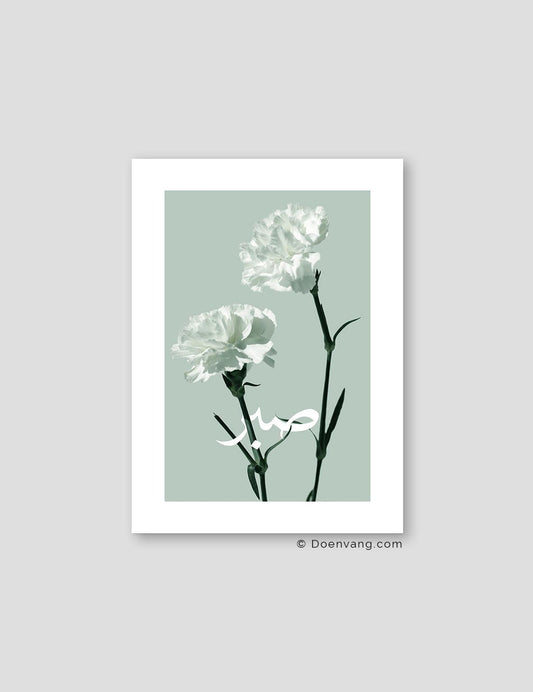 Green Carnation Sabr - Doenvang