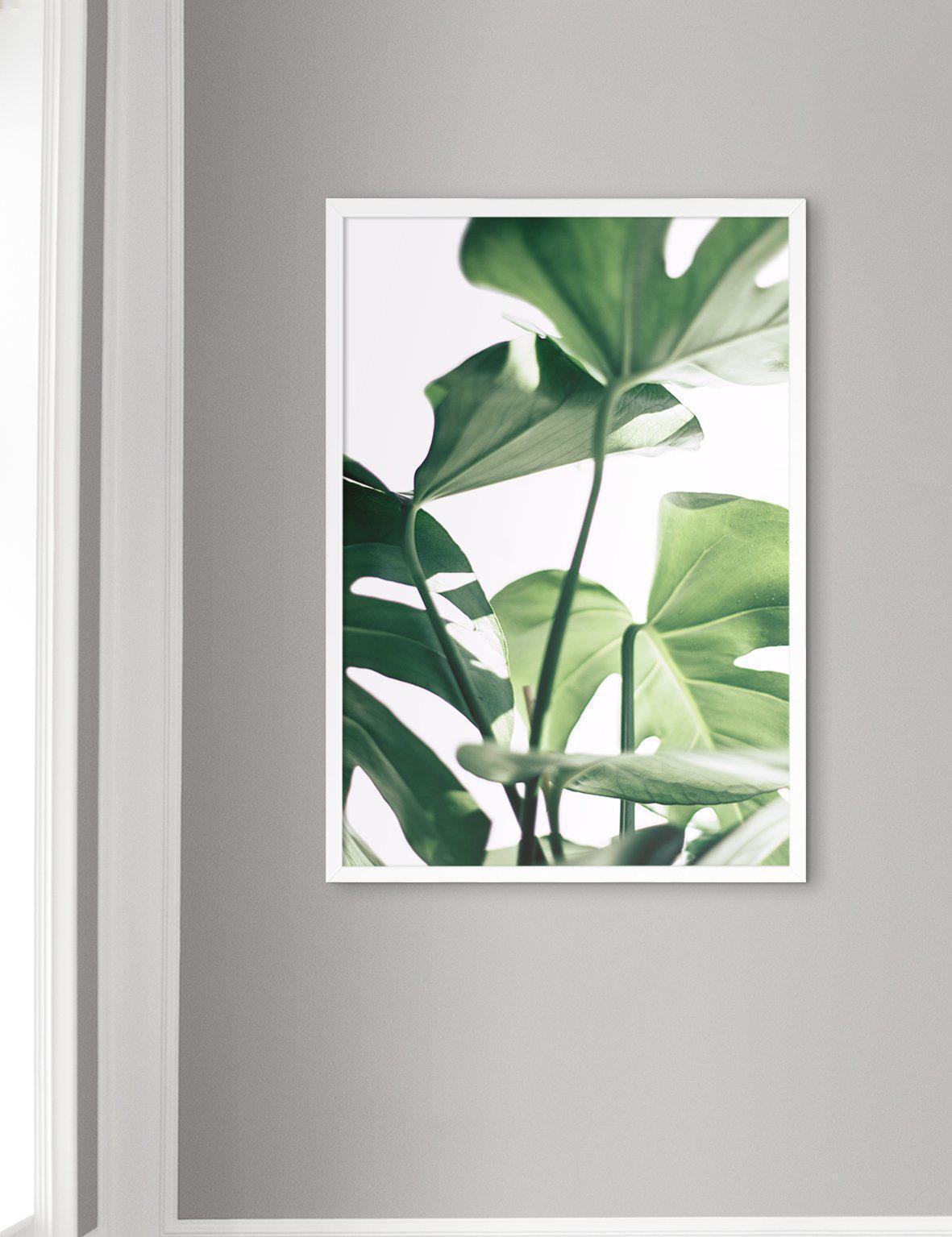 Monstera #3 - Doenvang