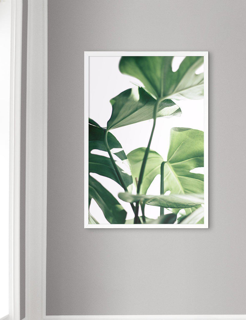 Monstera #3 - Doenvang