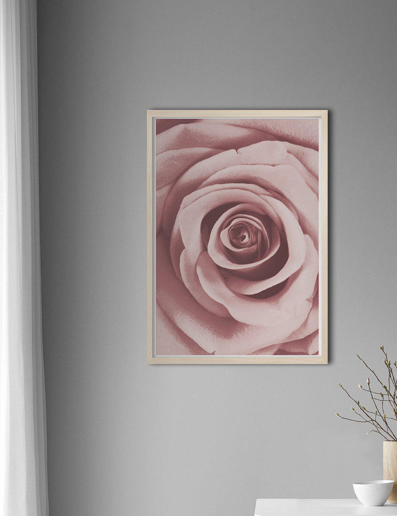 Pink Rose - Doenvang