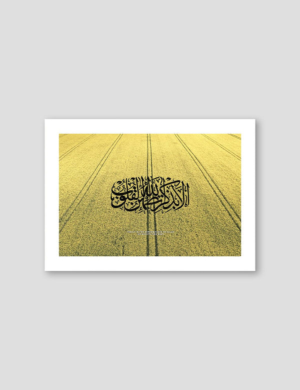 Rapeseed flower, Verily Calligraphy - Doenvang