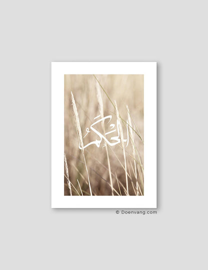 Reeds Al Hakam, Denmark 2020 - Doenvang