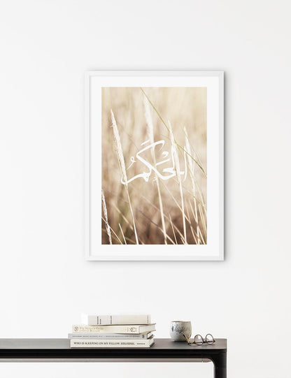 Reeds Al Hakam, Denmark 2020 - Doenvang