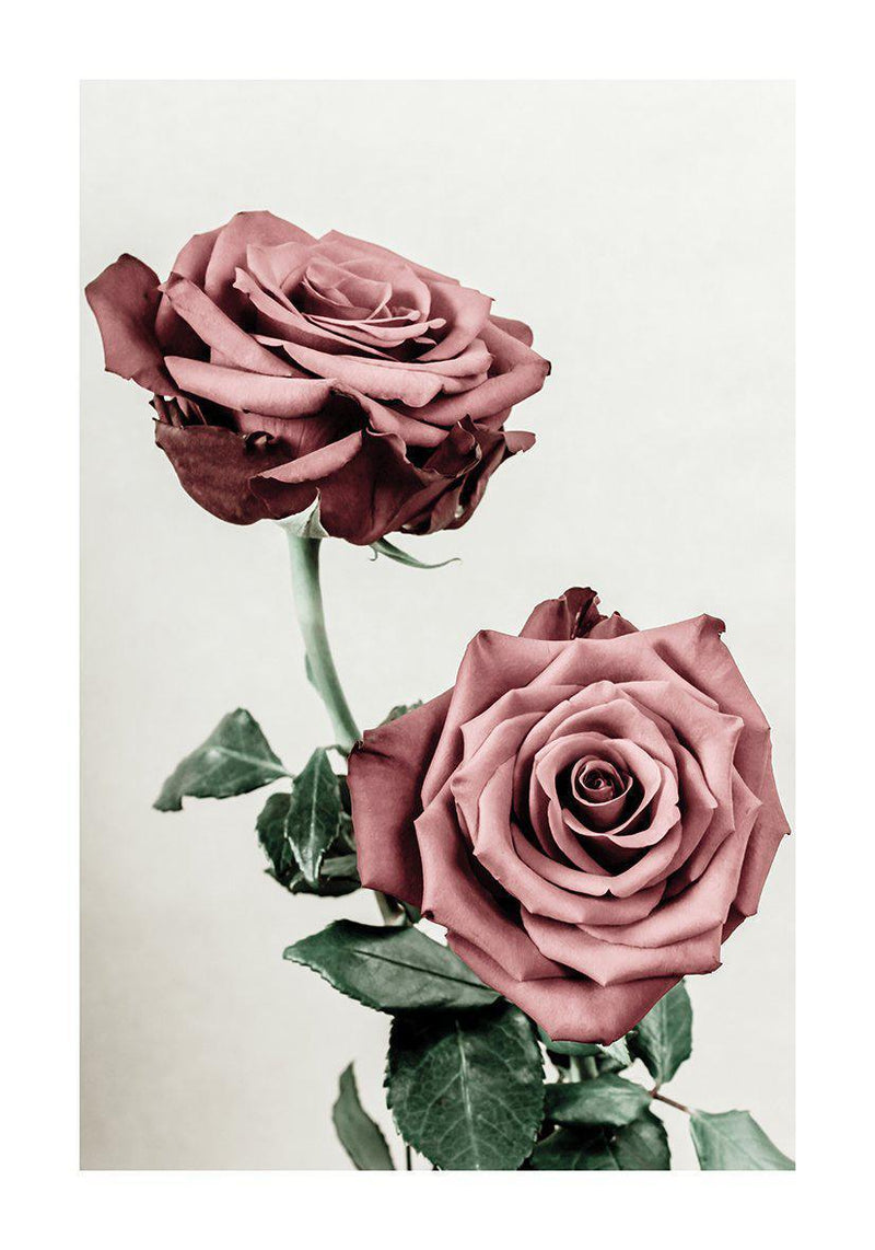 Roses #2 - Doenvang