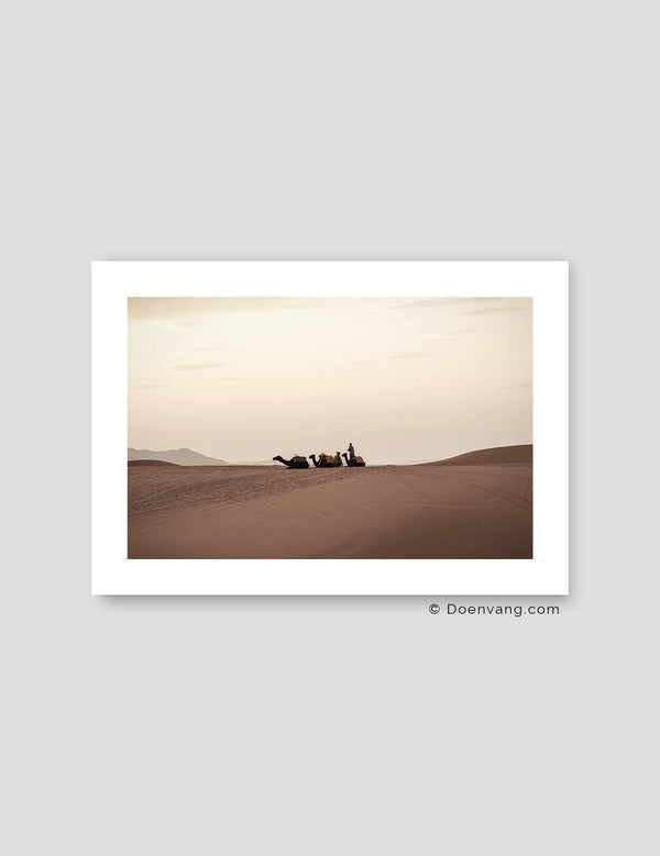 Sahara Camels, Morocco 2021 - Doenvang