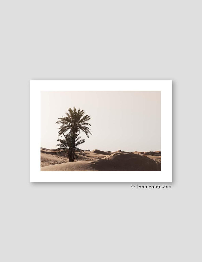 Sahara Palm, Morocco 2021 - Doenvang