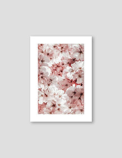 Sakura Flowers - Doenvang