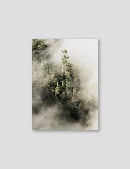 Sapa Jungle Fogg, Vietnam 2018 - Doenvang