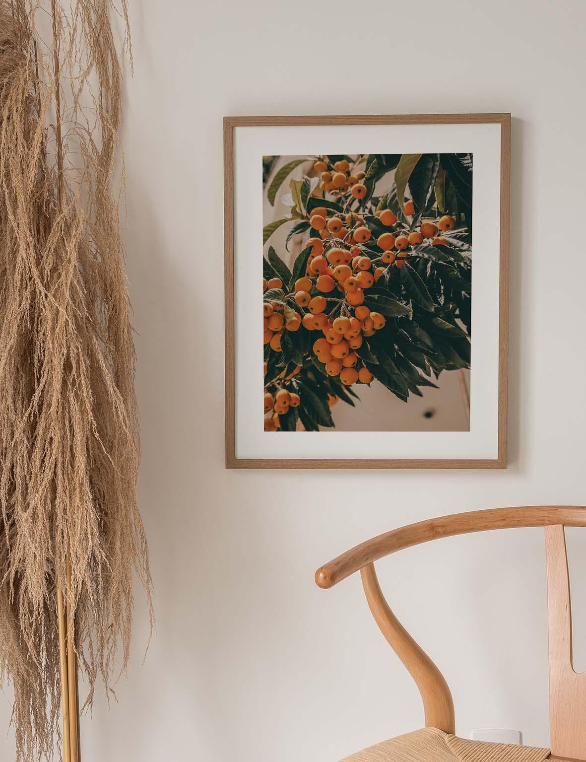 Turkish Loquat #1 | Turkey 2022 - Doenvang