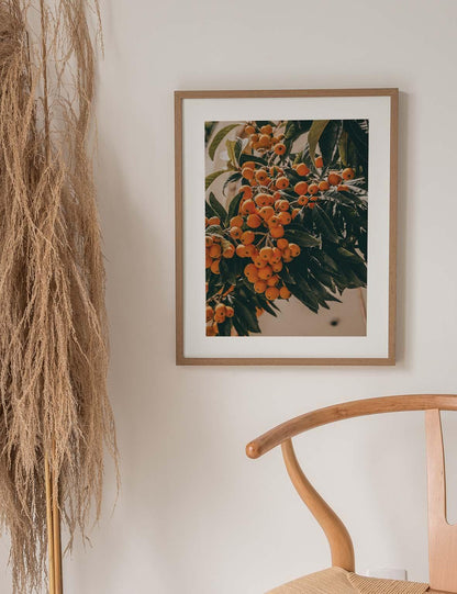 Turkish Loquat #1 | Turkey 2022 - Doenvang