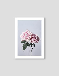 Two Pink Roses - Doenvang
