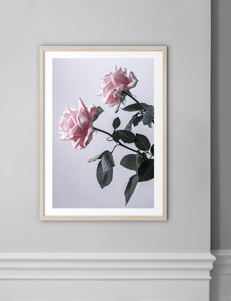 Two Pink Roses Sideways - Doenvang